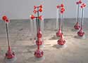 LAUGHING
